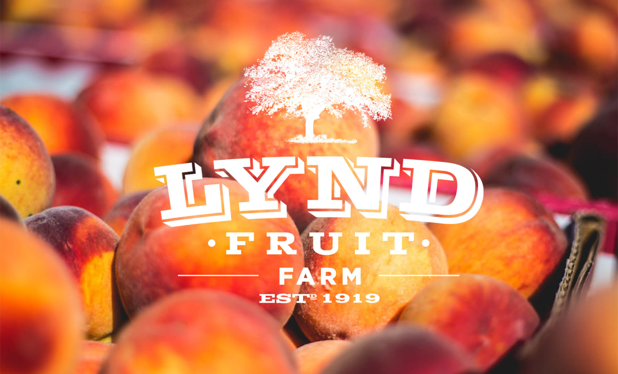 Lynd Fruit Farm Lynd Fruit Farm