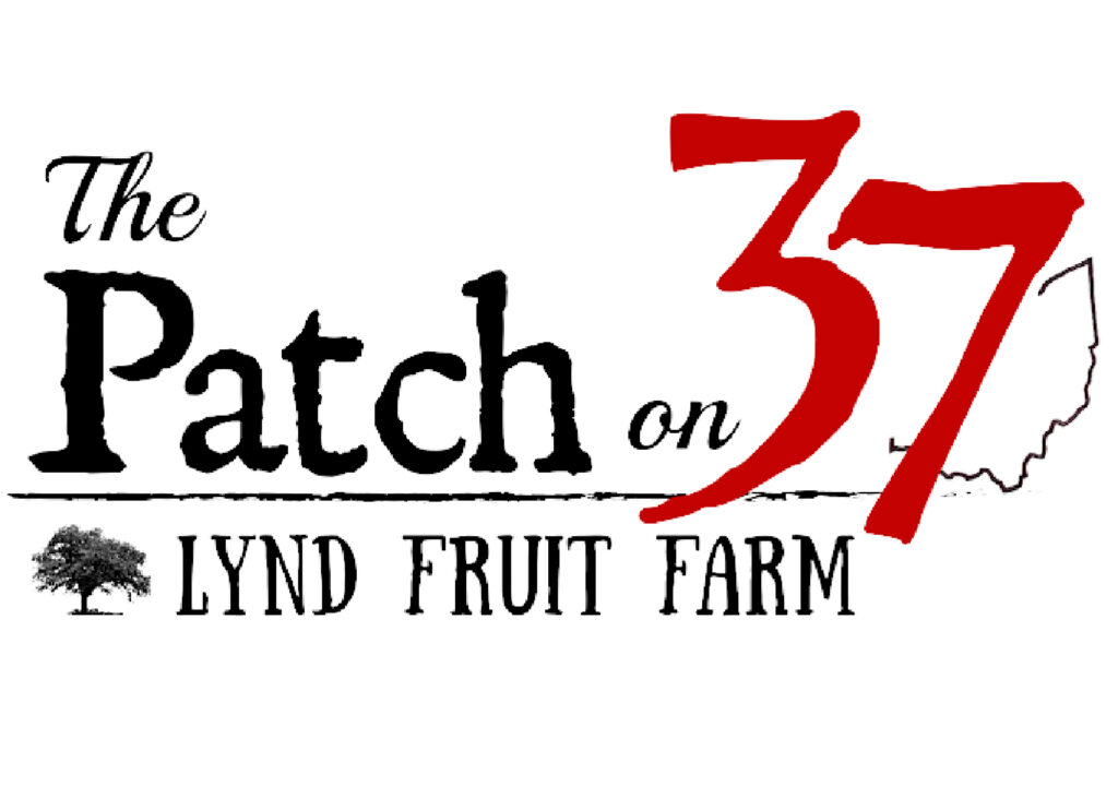 The Patch on 37