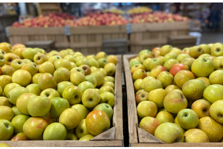 Winter Warehouse Sale